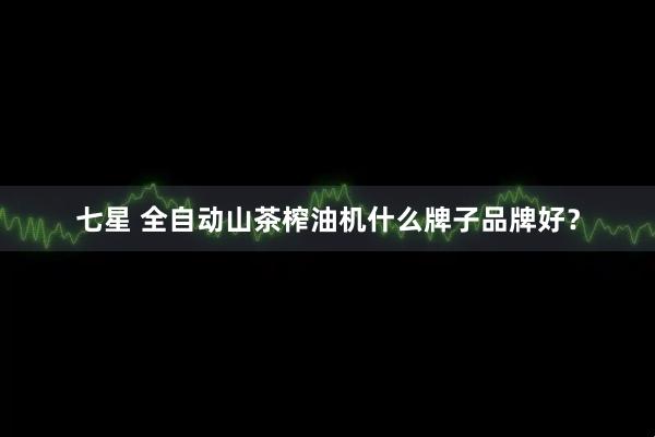 七星 全自动山茶榨油机什么牌子品牌好？
