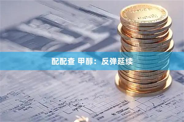 配配查 甲醇：反弹延续